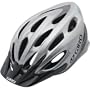 Giro Indicator Sport Bike Helmet (Titanium, Universal Fit)