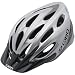 Giro Indicator Sport Bike Helmet (Titanium, Universal Fit)