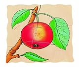 Image Beleduc Seed To Apple Five Layer Puzzle byHape