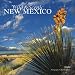 New Mexico, Wild & Scenic 2009 Square Wall Calendar (Multilingual Edition)