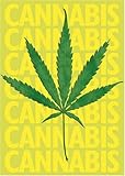 Cannabis Fridge Magnet - High Quality Steel Refrigerator Magnet