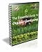 The Essential Guide to Organic Gardening