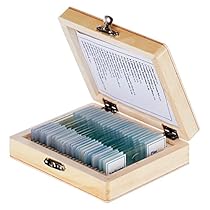 AmScope PS25 Prepared Microscope Slide Set for Basic Biological Science Education, 25 Slides, Includes Fitted Wooden Case
