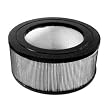 Honeywell 28720 Enviracaire Replacement Filter