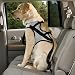 Dog Safety Harness / Dog Crash Safety Harness