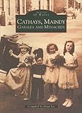 Cathays, Maindy, Gabalfa and Mynachdy