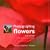 Photographing Flowers: Inspiration*Equipment*Technique