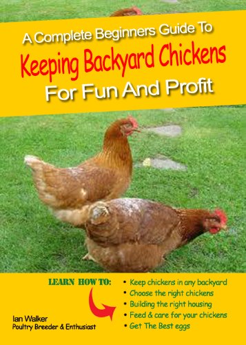 Keeping Chickens In The Back Garden for Fun and Profit