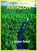 Amazon River WILD ROUTES