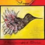 Yoga Hummingbird Series