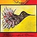 Yoga Hummingbird Series