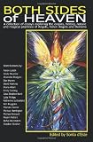 Both sides of heaven : a collection of essays exploring the origins, history, nature and magical practices of angels, fallen angels and demons