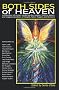 Both Sides of Heaven: Essays on Angels, Fallen Angels and Demons