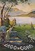 LAGO LAKE DI COMO WOMAN GARDEN EUROPE ITALY ITALIA VINTAGE POSTER REPRO
