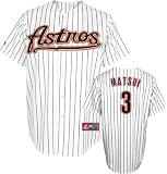 Ivan Rodriguez Jersey: Adult 2009 Majestic Home Pinstripe Replica #77 Houston Astros Jersey - Large