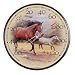 Chaney Instruments Acu-Rite 01839 12.5-inch Horses Thermometer