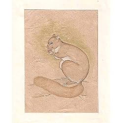 Indian Art Miniatures Paintings Drawings (minianimal027)