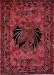 Bed Spread Double Sun Dragon Image