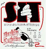 SIT Buddy Emmons E9th Pedal Steel Strings Single Set - B001L8KGCM