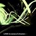 Lank-No Sense of Direction