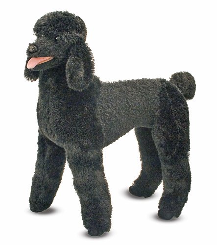 poodle
