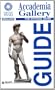 Accademia Gallery (Rapid Guides/Florentine Museum)
