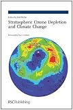 Stratospheric Ozone Depletion and Climate Change