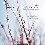 Augenblicke 2011. Wandkalender: 12 Haiku Gedichtevon "Ernst Ferstl"