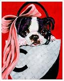 Boston Terrier Painting Dog 20x24 Fine Art Gallery Wrap Canvas