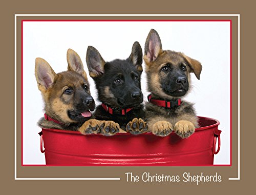 A Trio of Trouble - German Shepherd Christmas Card