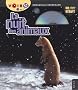 La nuit des animaux : 6-9 ans (1DVD)