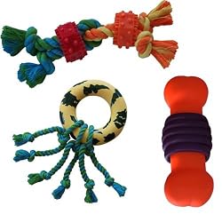 Pet Toy Pack - Assorted Toys