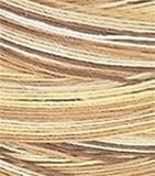 Coats & Clark Star Hand Quilting Thread Variegated
