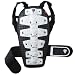 Sports : Red SCHUTZWESTEIMPACT WAISTCOAT, BLACK