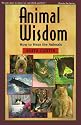 Animal Wisdom: How to Hear the Animals