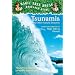 Tsunamis and Other Natural Disasters (Magic Tree House Rsrch Gdes(R))