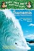 Magic Tree House Research Guide #15: Tsunamis and Other Natural Disasters (Magic Tree House Rsrch Gdes(R))