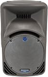 Mackie C300z Portable Passive Loudspeaker - Store Demo Unit
