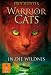 Produkt-Bild: Warrior Cats Staffel 1/01. In die Wildnis