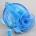 Vimans Women's Handmade Flowers Feather Headwear Hat Fascinator with Headband