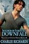 Soldier of Fortune's Downfall (Wolves of Stone Ridge)