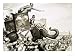 The Rise and Fall of Carthage: The Cartheginian Secret Weapon - Elephants Art Giclee ...