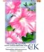 Petunias in Bloom House Flag