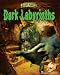 Dark Labyrinths (Scary Places)