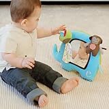 Skip Hop Alphabet Zoo Activity Mirror