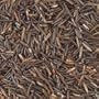 Cultivated Wild Rice - Oregon