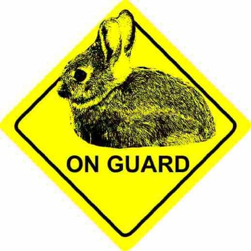 Rabbit On Guard Home / Car Sticker Sign / Window Decal Bumper