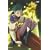 �� ��2�� �ĉ�̎� 1 [DVD]