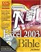 Excel 2003 Bible