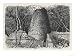 The Massive Conical Tower in the Amazing Iron Age, Site of Great Zimbabwe Giclee Poster Print, 18x24